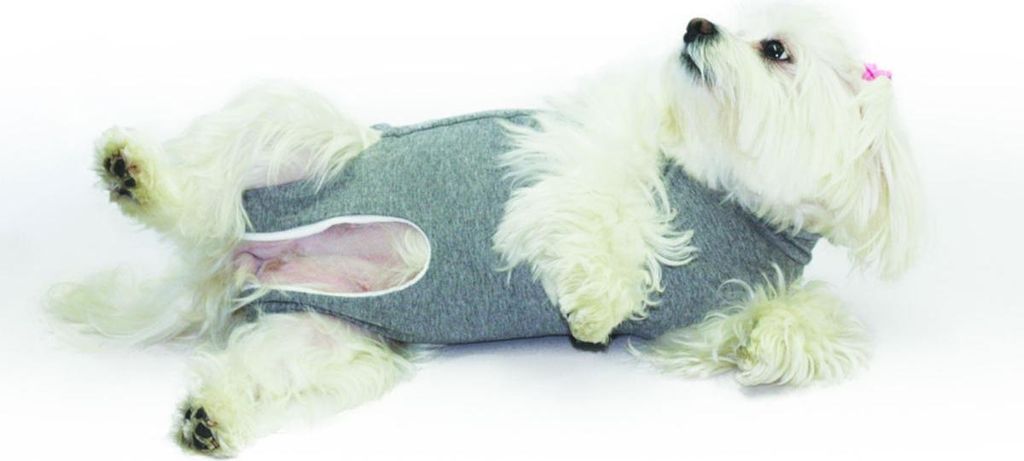 Fashion Dog Cura Pets OP- und Wundschutz-Body für Hunde und Katzen - 51 cm