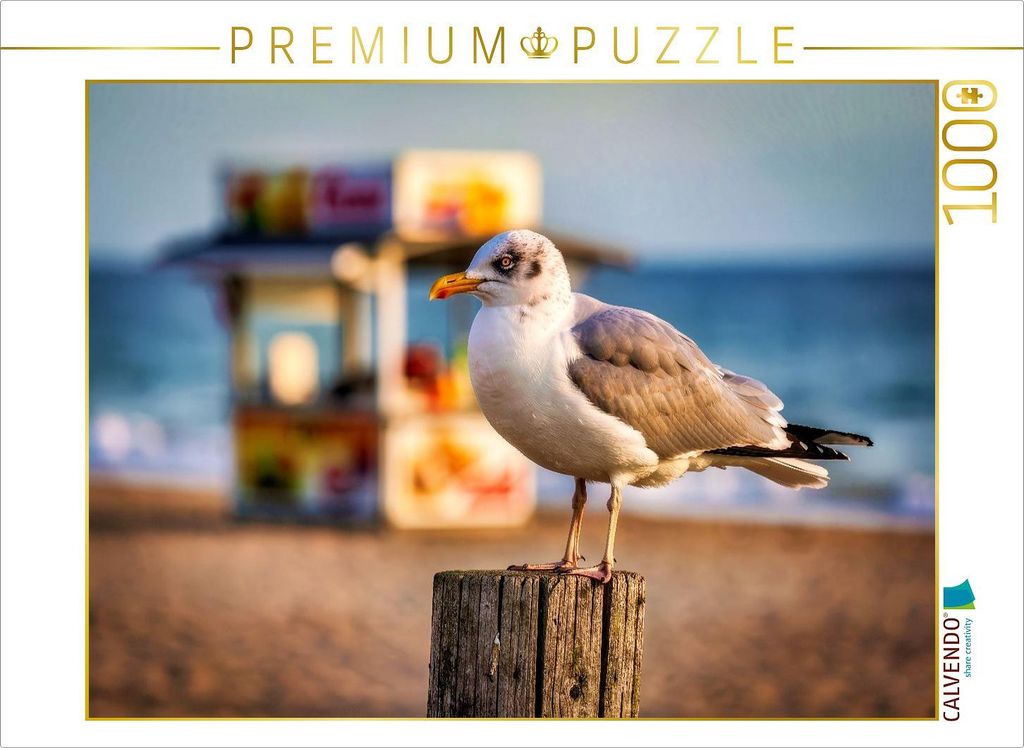 CALVENDO Puzzle Exklusive Ruhe am endlosen Meer. | 1000 Teile Lege-Größe 64x48cm Foto-Puzzle für glückliche Stunden
