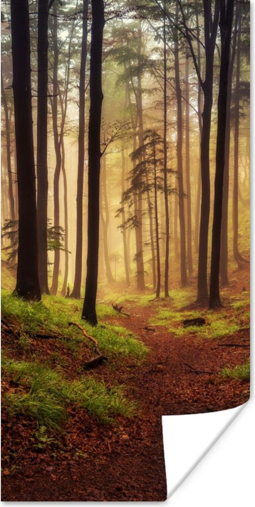 MuchoWow Poster Bäume - Natur - Wald 20x40 cm - Plakat - Foto