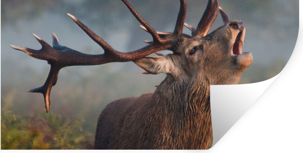 MuchoWow Wandtattoo Wandsticker Wandaufkleber Hirsche - Geweihe - Pflanzen - Herbst 40x20 cm Selbstklebend und Repositionierbar - Aufkleber