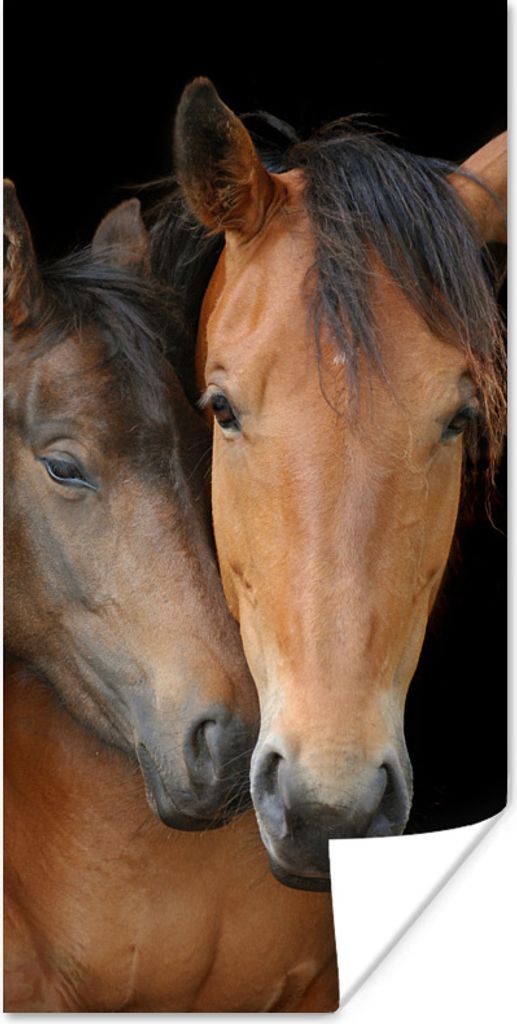 MuchoWow Poster Pferde - Liebe - Braun 20x40 cm - Plakat - Foto