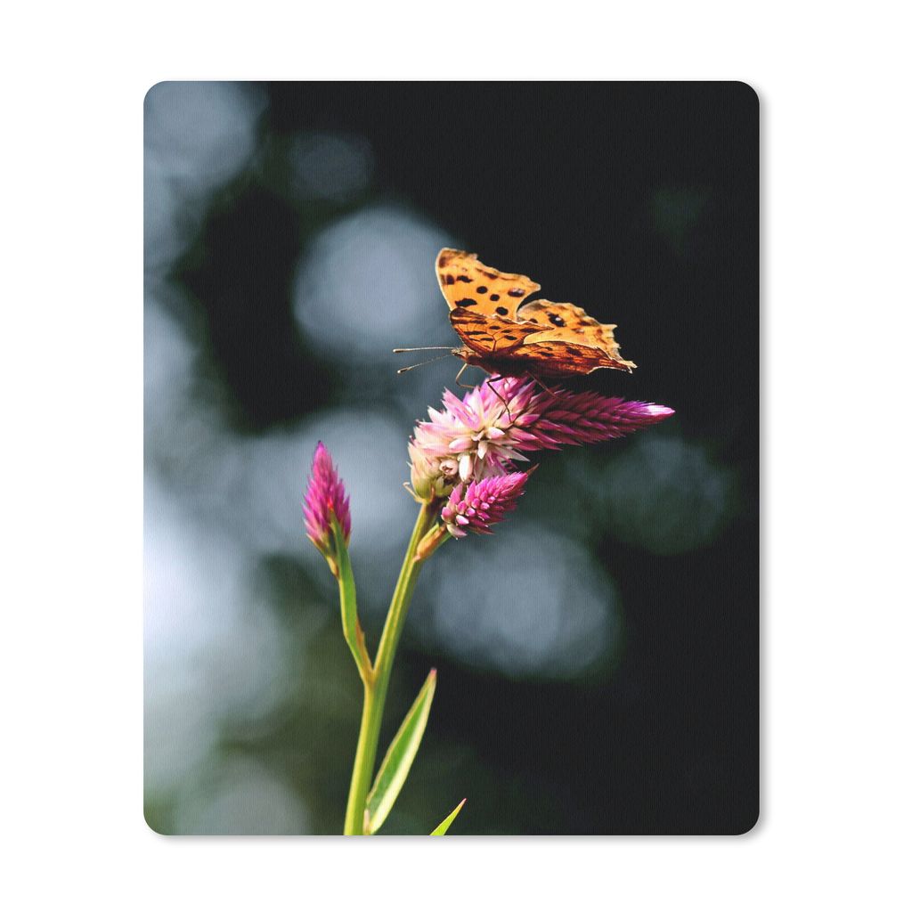 MuchoWow Mauspad Mousepad Schmetterling - Blumen - Insekten 19x23 cm - Mousepads - Maus Mat - Pad - Mausunterlage - Mauspads - Spielen