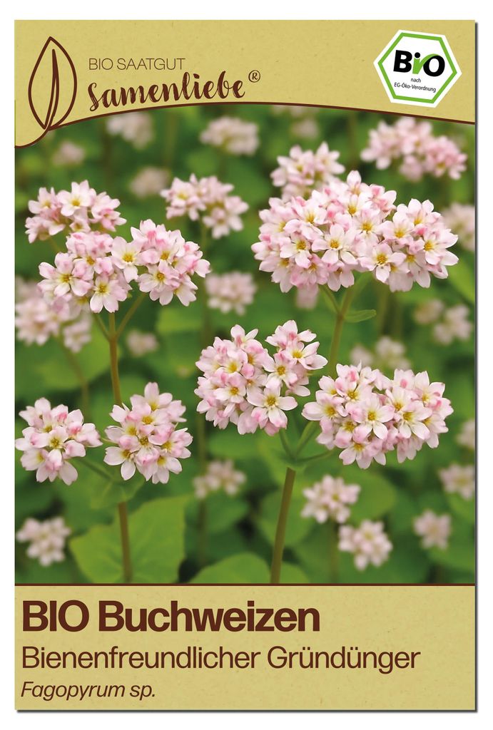 Samenliebe  Buchweizen Samen | Gründünger & Bienenpflanze - Produktbild 