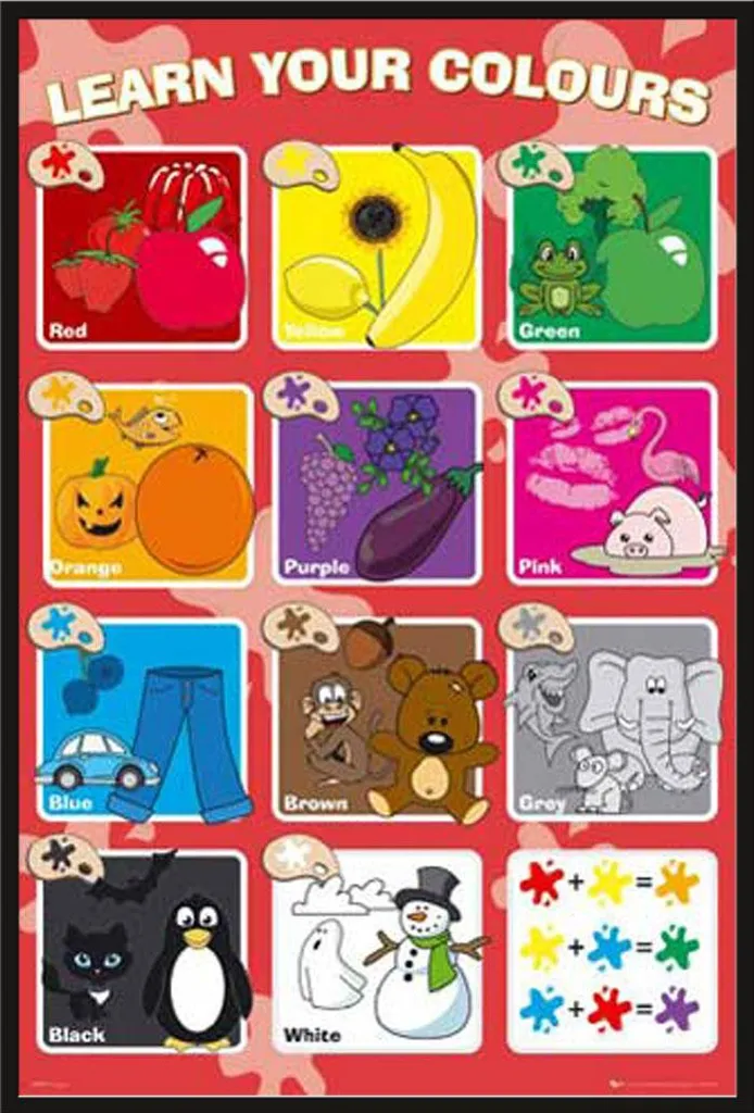 Poster Éducatif Couleurs avec Cadre Shinsuke Incassable Vitre Acrylique