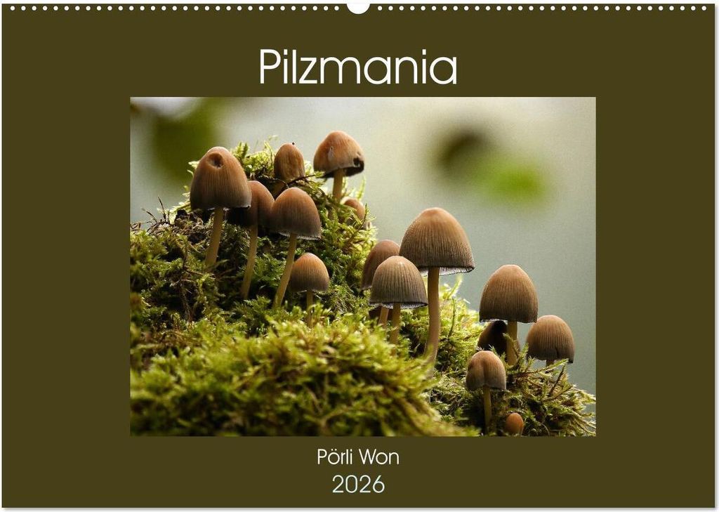 Pilzmania (Wandkalender 2026 DIN A2 quer), CALVENDO Monatskalender
