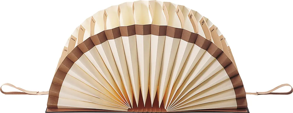 Organizzatore Documenti Leitz 5605 A-Z - 20 Scomparti in Cartone Rigido