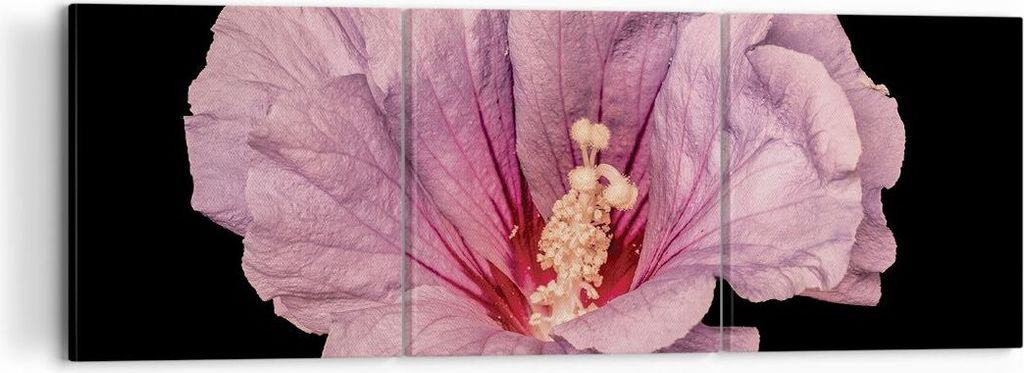 Bild auf Leinwand - Leinwandbild - 3 Teile - Hibiskus Blume Rosa - 120x40cm - Wand Bild - Wanddeko - Wandbilder - Leinwanddruck - Bilder - Wanddeko...