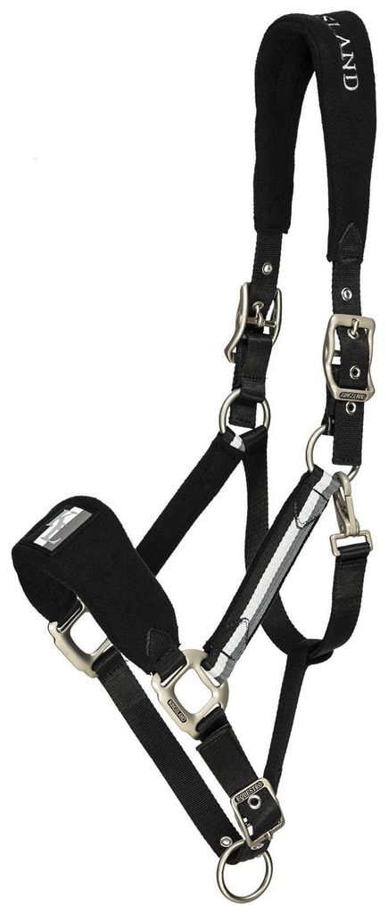 Kingsland Halfter mit Fleece Classic Black Cob