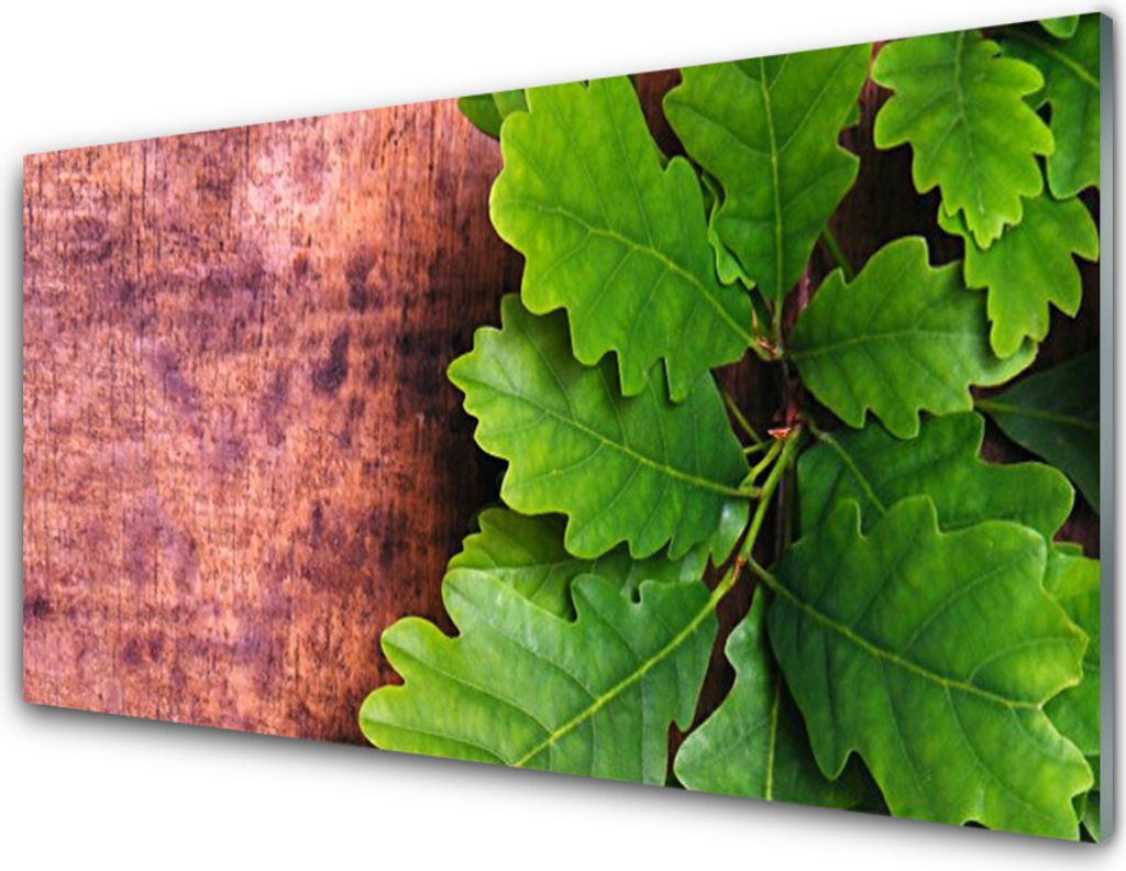 Acrylglasbilder 100x50 Wandbild Druck Eiche Blätter Produktbild 