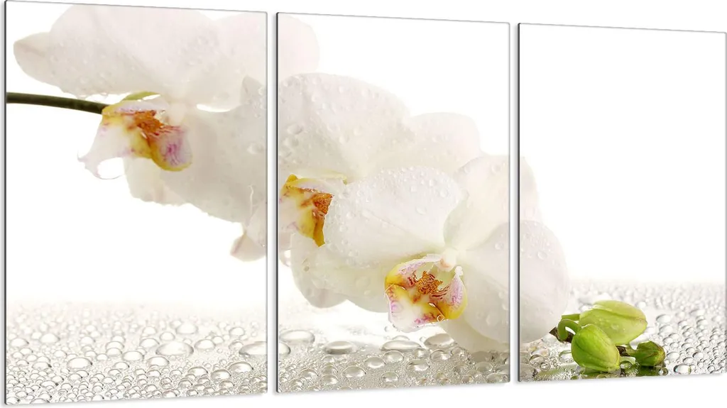 Piastre Copriforno 3 Pezzi 30x52 Vetro Bianco Orchidea | Protezione Fornelli