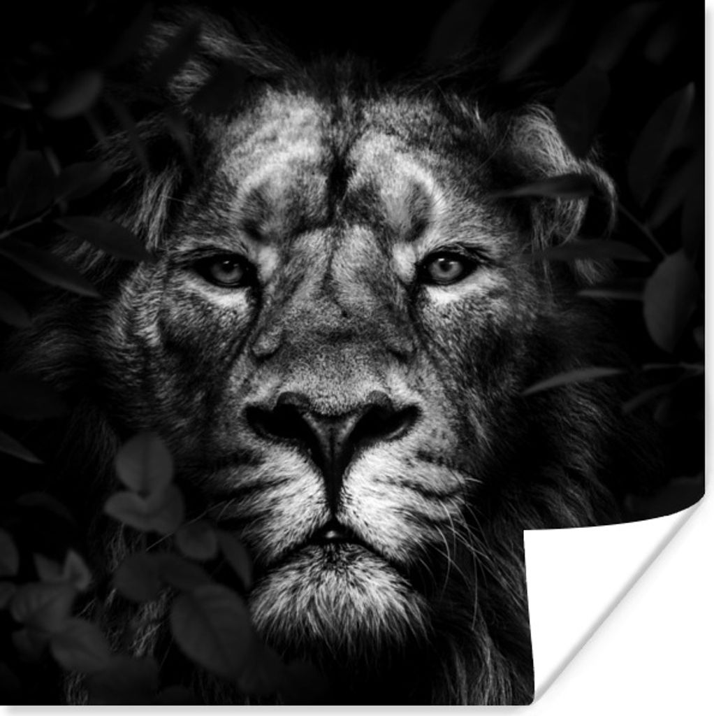 MuchoWow Poster Pflanzen - Löwe - Dschungel - Schwarz - Weiß 100x100 cm - Babyzimmer