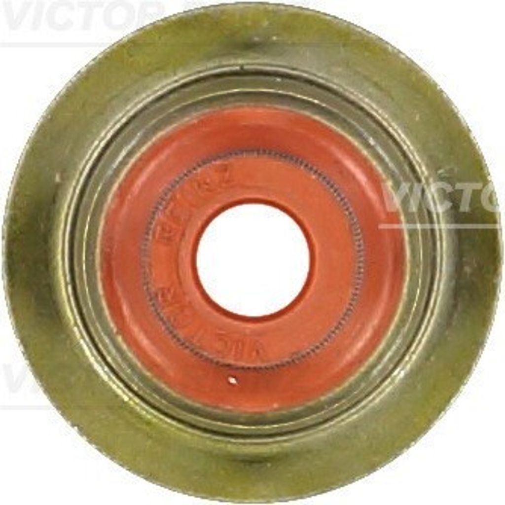 REINZ Ventilschaftdichtung 70-35172-00 für OPEL Omega B Limousine (V94)