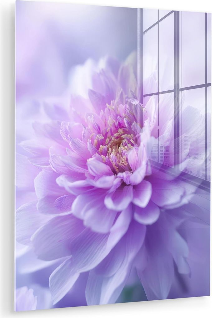 MuchoWow Glasbilder - Bilder auf Wandbild - Foto auf Glas Lila - Dahlie - Verträumt 60x80 cm Wanddekoration aus Glas - Acrylglasbild - Acrylbilder...