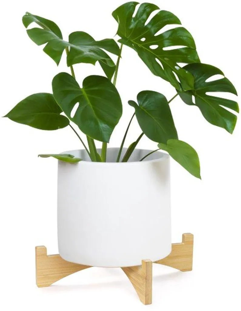 Support de plante moderne résistant aux UV pour intérieur et extérieur