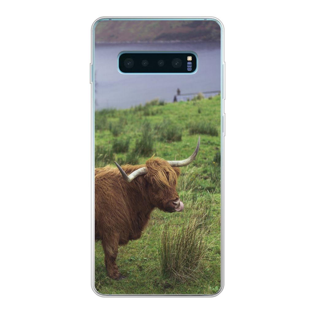 MuchoWow Handyhülle Schutzhülle Hülle für Samsung Galaxy S10 Plus Schottische Highlander - Gras - Wasser - Tiere Silikon Softcase Handy Hüll...