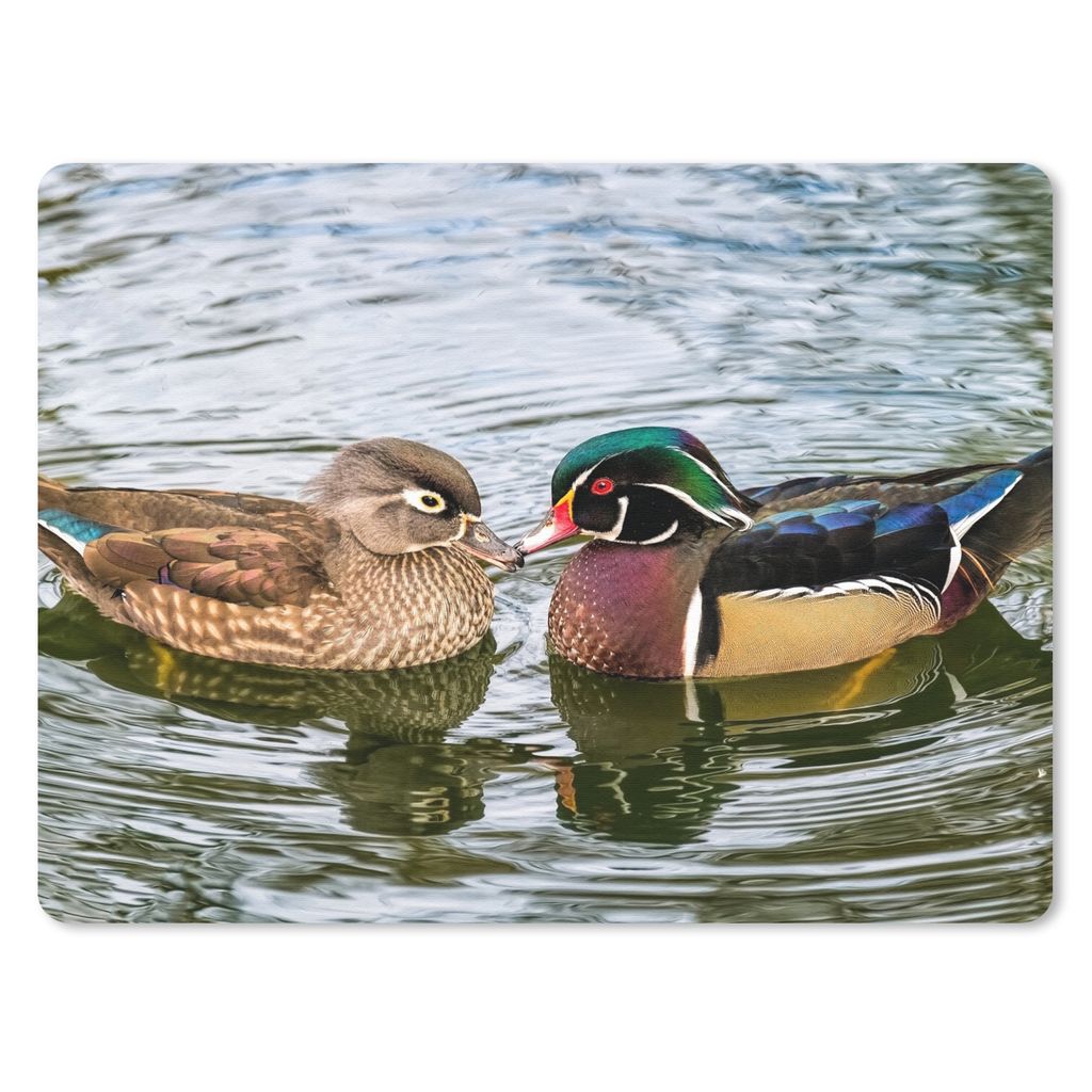 MuchoWow Mauspad Mousepad Ente - Vögel - Wasser - Federn - Tiere 23x19 cm - Mousepads - Maus Mat - Pad - Mausunterlage - Schreibtischunterlage -...