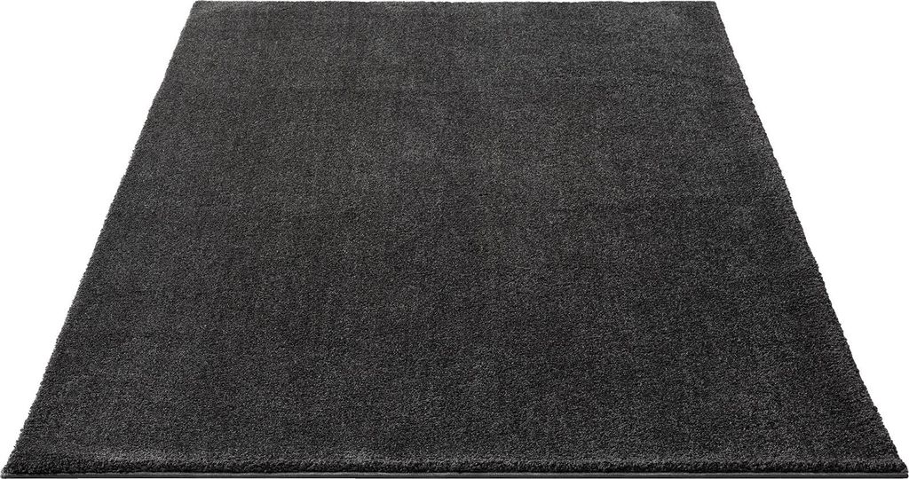 FLOORNOVO Hochflor Teppich Grau einfarbig - 230 x 160 cm - Besonders Weicher Teppich Wohnzimmer & Badezimmerteppich - Pflegeleicht - vielseitig ein...