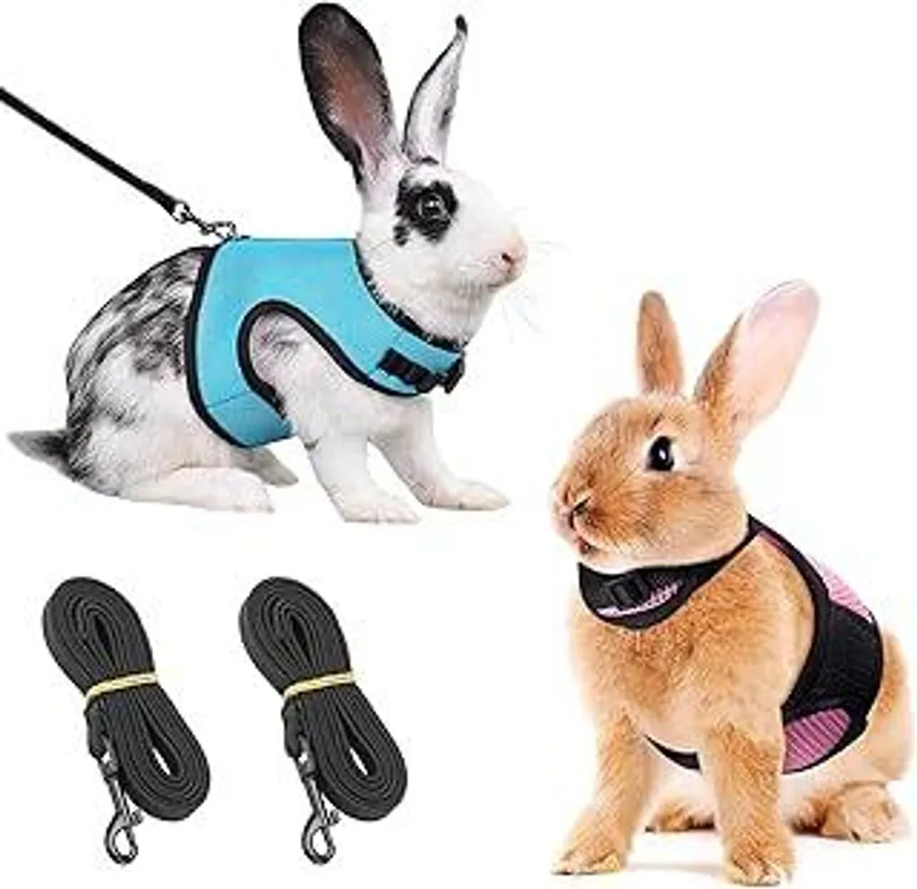 Doppio Guinzaglio Coniglio Elastico | Pettorina Regolabile Blu Rosa