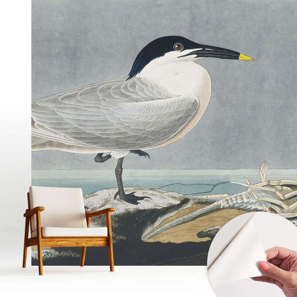 Fototapete selbstklebend - 250x250 cm - Tapete - Wandtapete - Wandbilder - Klebefolie - Dekofolie - Tapete Folie - Wand - Dekoration - Wohnzimmer -...