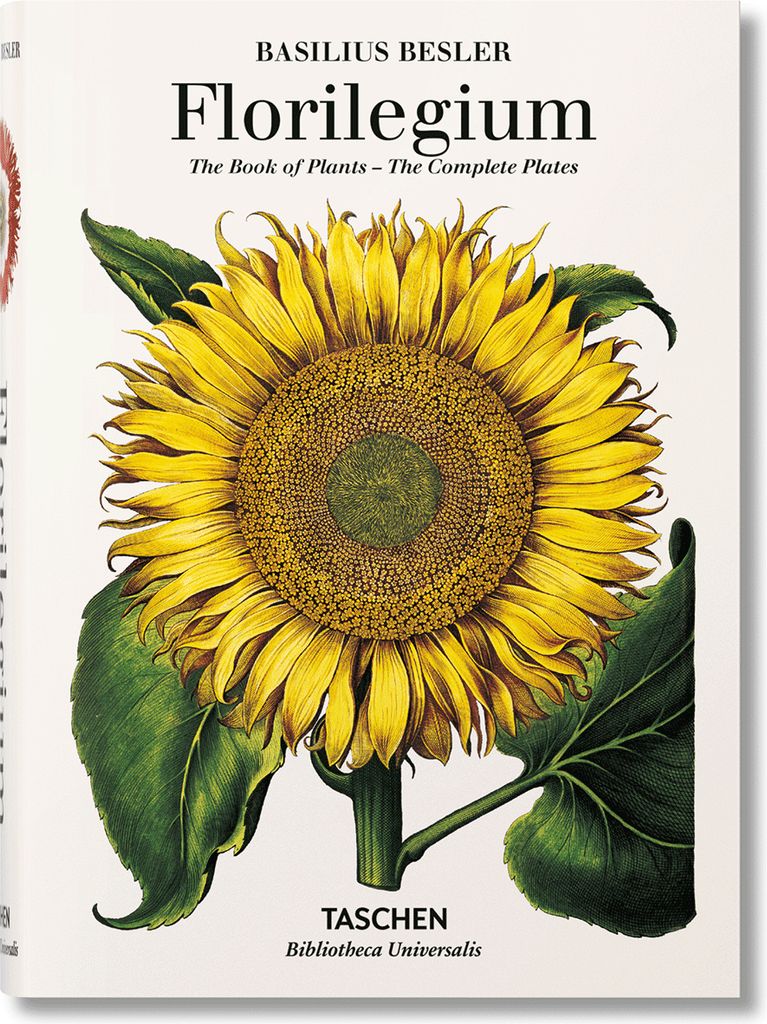 Basilius Besler's Florilegium