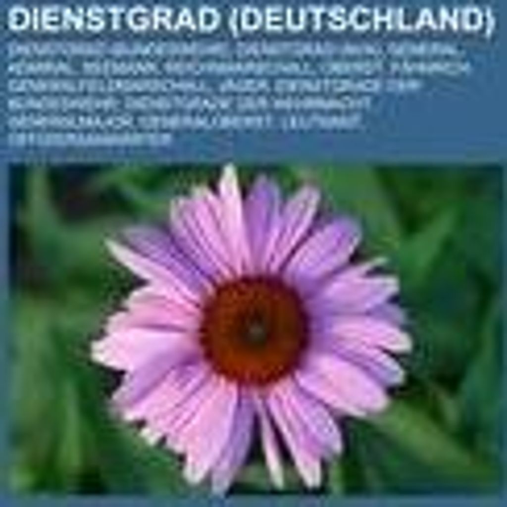 Dienstgrad (Deutschland)