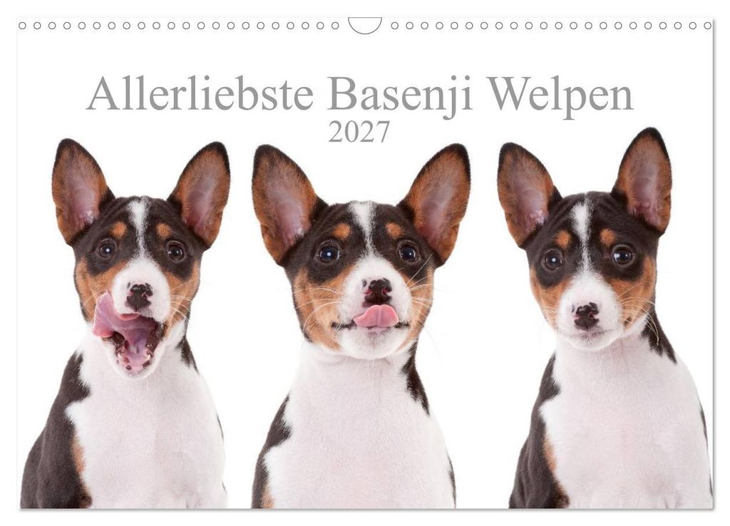 Allerliebste Basenji Welpen 2027 (Wandkalender 2027 DIN A3 quer), CALVENDO Monatskalender