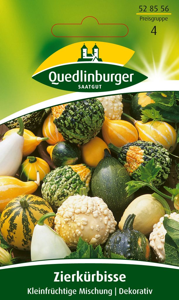 Zierkürbis, kleinfrüchtige Mischung Produktbild 