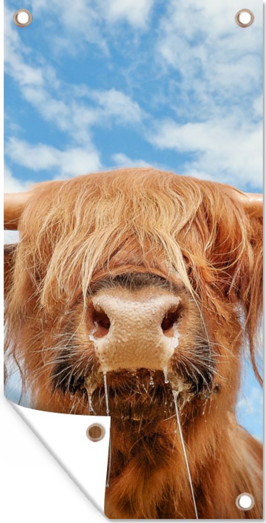 MuchoWow 80x160 cm Outdoor-Poster Gartendeko Sichtschutz Garten Poster für den Garten Schottischer Highlander - Wolke - Tiere