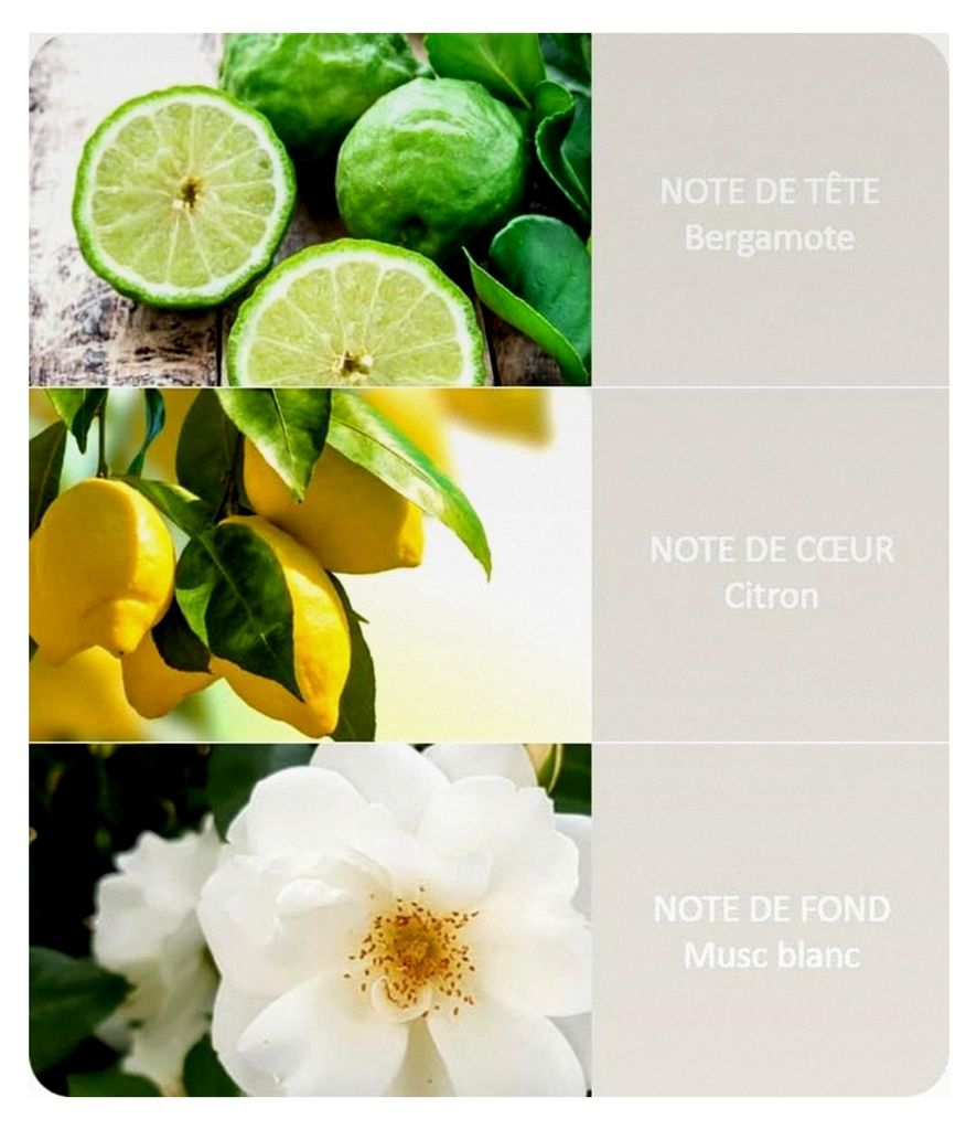 Heart & Home große Kerze, 340 g, Schutzengel - Duft: Bergamotte, Geranium, Weißes Patchouli