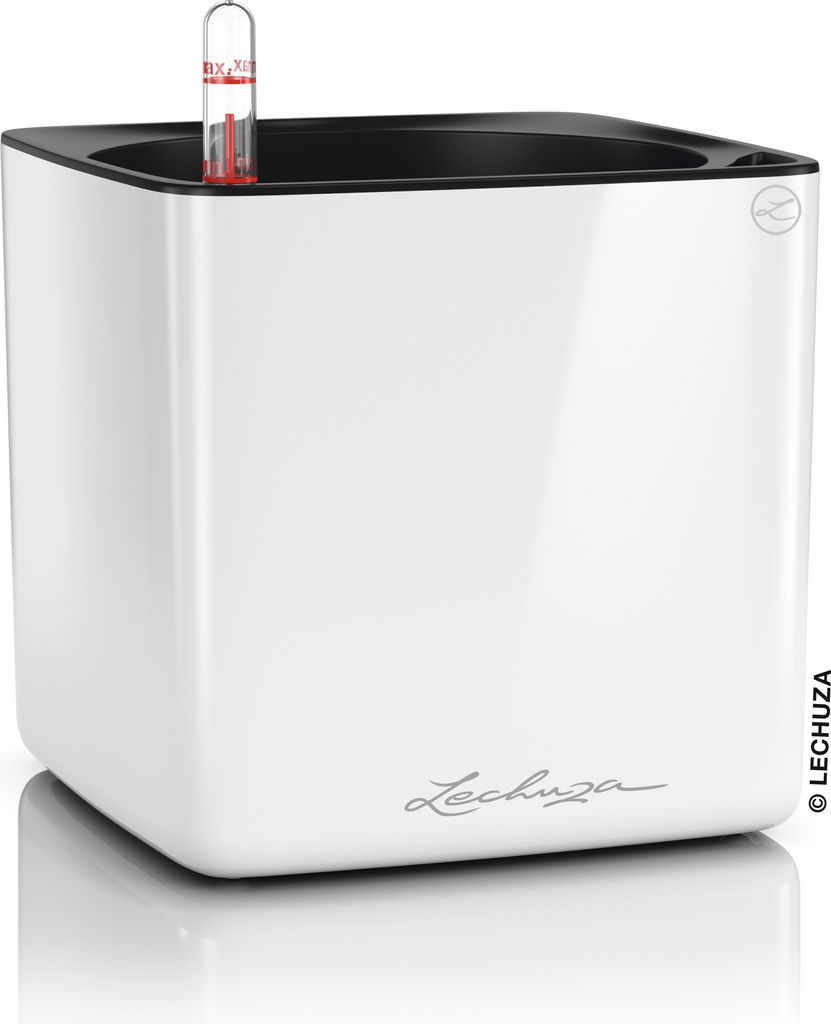 LECHUZA-Tischgefäß CUBE Premium 16 Weiß Highgloss | Pflanzgefäß mit Bewässerung und Pflanzeinsatz | Hochglanz-Oberfläche | 17 x 17 x 16 cm |...