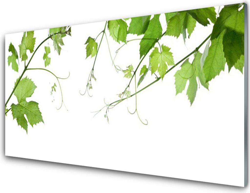 Acrylglasbilder 100x50 Wandbild Druck Zweige Blätter Produktbild 