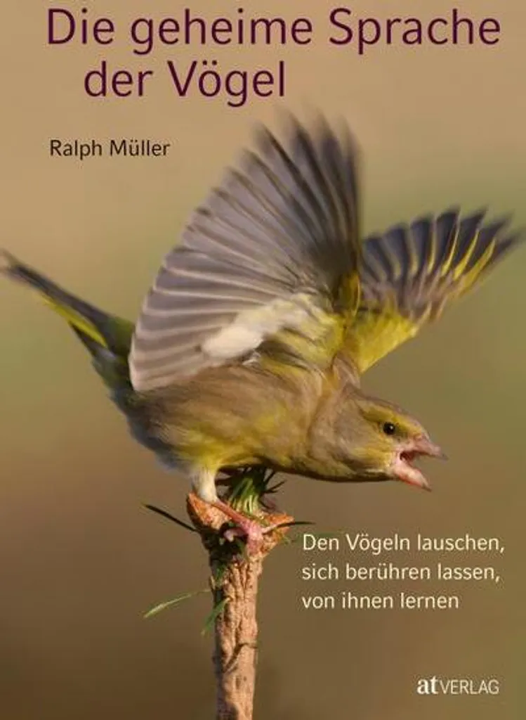 Livre oiseaux décodage des chants et comportements édition enrichie