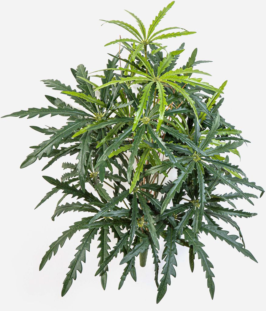 artplants.de Kunst Aralie PANGON auf Steckstab, grün, 50cm - Künstliche Fingeraralie