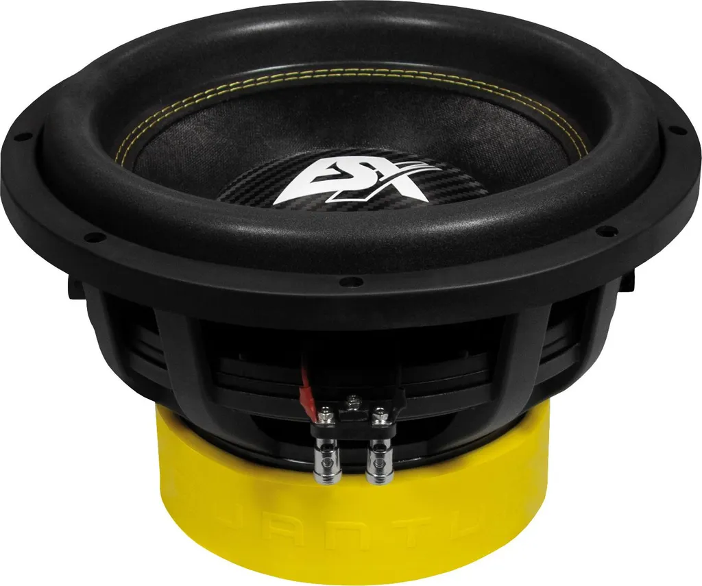 Subwoofer 30 cm ESX QUANTUM QXE12D2 - Double Aimant et 1600W Max Power