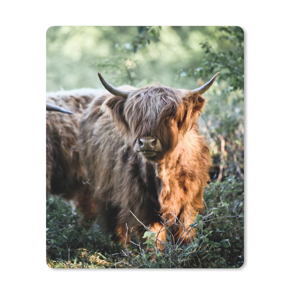 MuchoWow Mauspad Mousepad Schottische Highlander - Wald - Tiere 19x23 cm - Mousepads - Maus Mat - Pad - Mausunterlage - Mauspads - Spielen