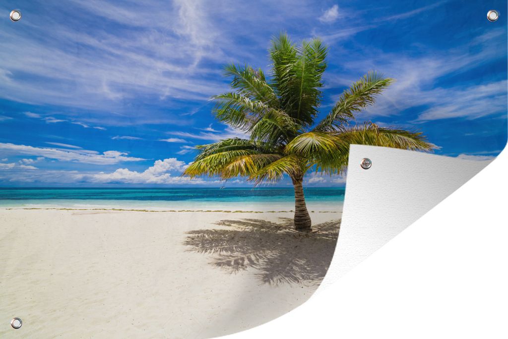 MuchoWow 120x80 cm Outdoor-Poster Gartendeko Sichtschutz Garten Poster für den Garten Kokosnusspalme im Sand bei Moorea in Ozeanien