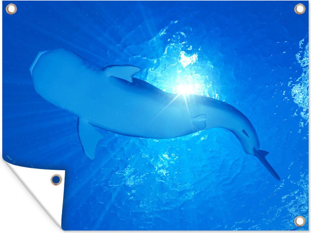 MuchoWow 40x30 cm Outdoor-Poster Gartendeko Sichtschutz Garten Poster für den Garten Illustration eines Walhais mit der Sonne über ihm
