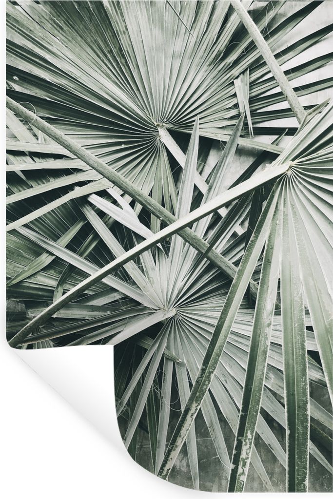 MuchoWow Wandtattoo Wandsticker Wandaufkleber Tropisch - Palmenblatt - Grün 60x90 cm Selbstklebend und Repositionierbar - Sticker - Dekorfolie
