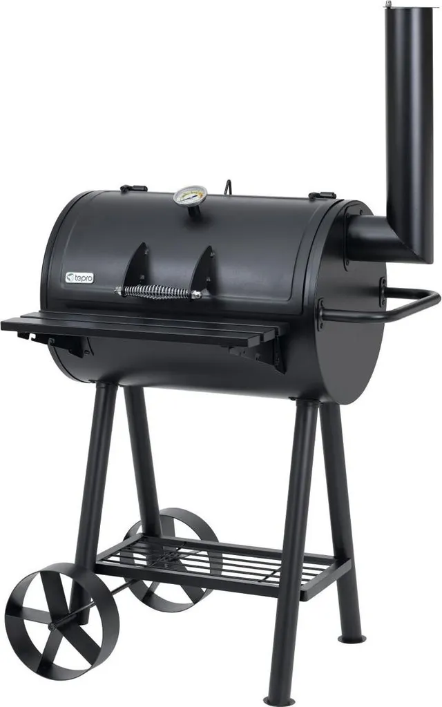 Barbecue Charbon Idéal pour Grandes Tablées et Grillades en Famille