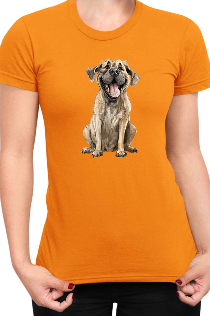 Damen T-Shirt Funny Dogs Breeds English Mastiff Dog Breed, Lady XL / Orange
