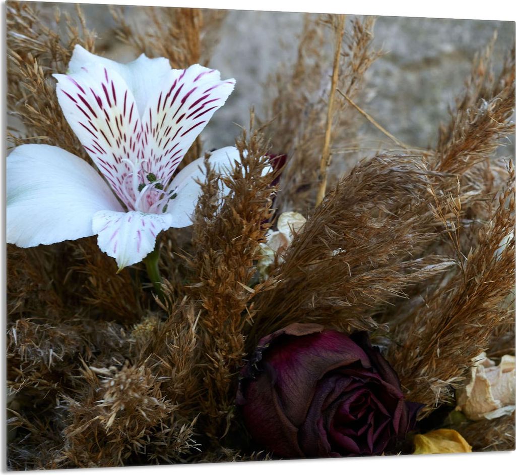 GLASPLATTE FÜR KÜCHE 65x60 Orchidee