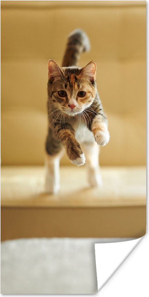 MuchoWow Poster Katze - Frühling - Stuhl 75x150 cm - Dekoration für die Wände