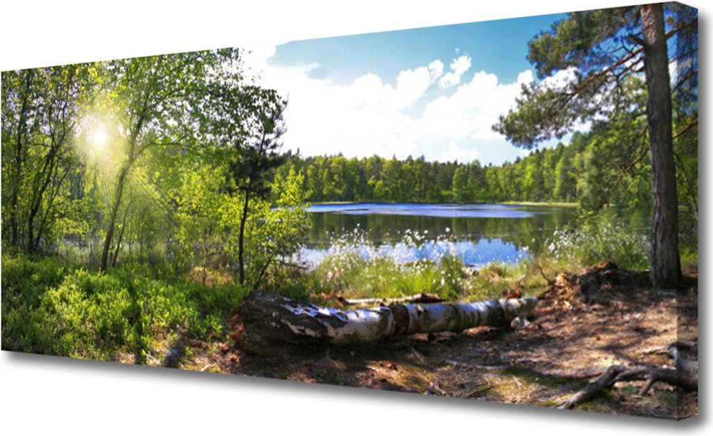 Tulup Leinwand-Bilder 125x50 Wandbild Canvas Kunstdruck Wald See Natur