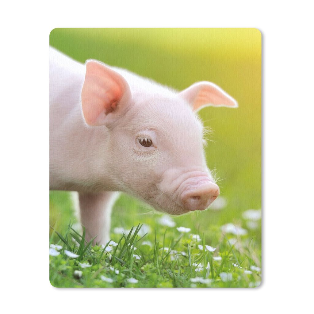 MuchoWow Mauspad Mousepad Tiere - Ferkel - Schwein 30x40 cm - Mousepads - Maus Mat - Pad - Mausunterlage - Mausmatten