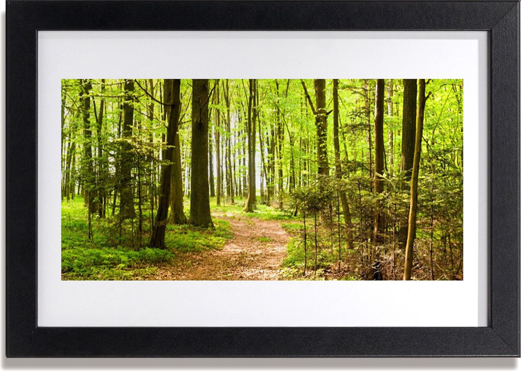 Bild 30x20 MDF-Rahmen Wandkunst Waldpfad Natur