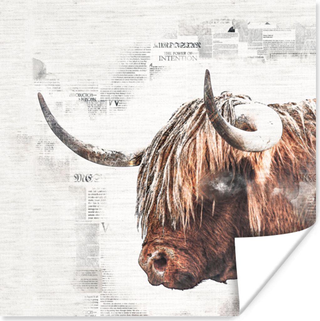 MuchoWow Poster Schottisches Hochlandrind - Zusammenfassung 30x30 cm - Wandposter - Printing