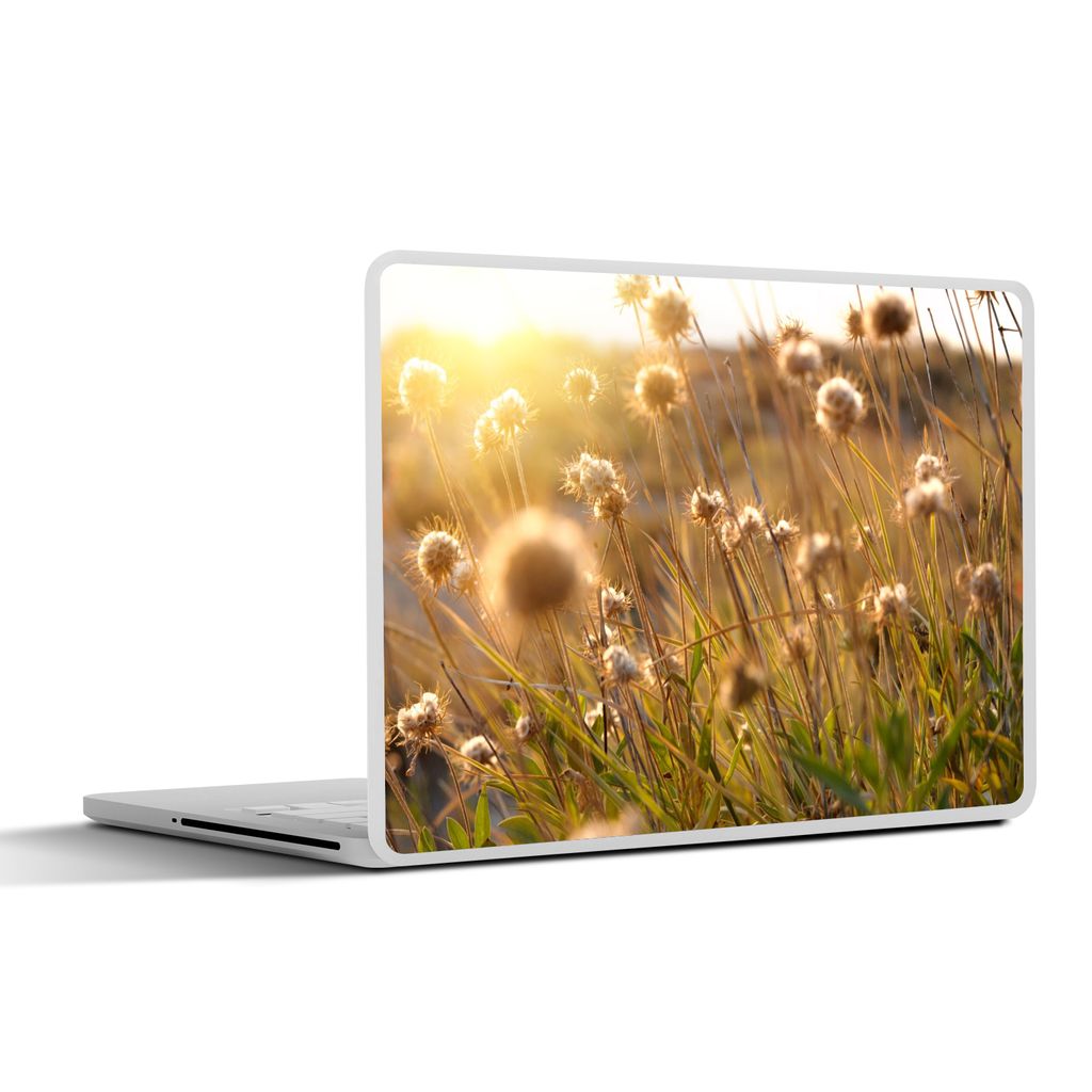 MuchoWow Laptop Aufkleber Sticker Cover Pflanzen - Natur - Blumen - Sonne - Horizont 30x22 cm - Laptop-Sticker