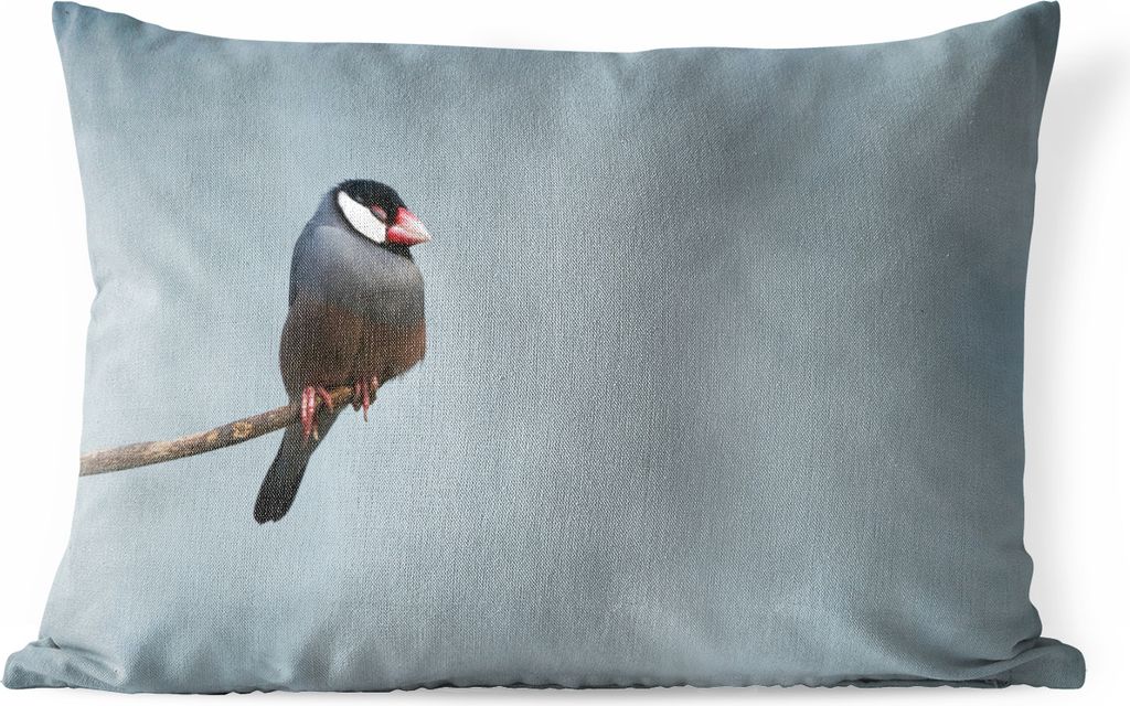 MuchoWow Outdoor Kissen - Kleine Vögel schlafen auf einem Ast - 50x30 cm - Wetterfest - Lounge Kissen - Sofa kissen - Wohnzimmer Dekoration