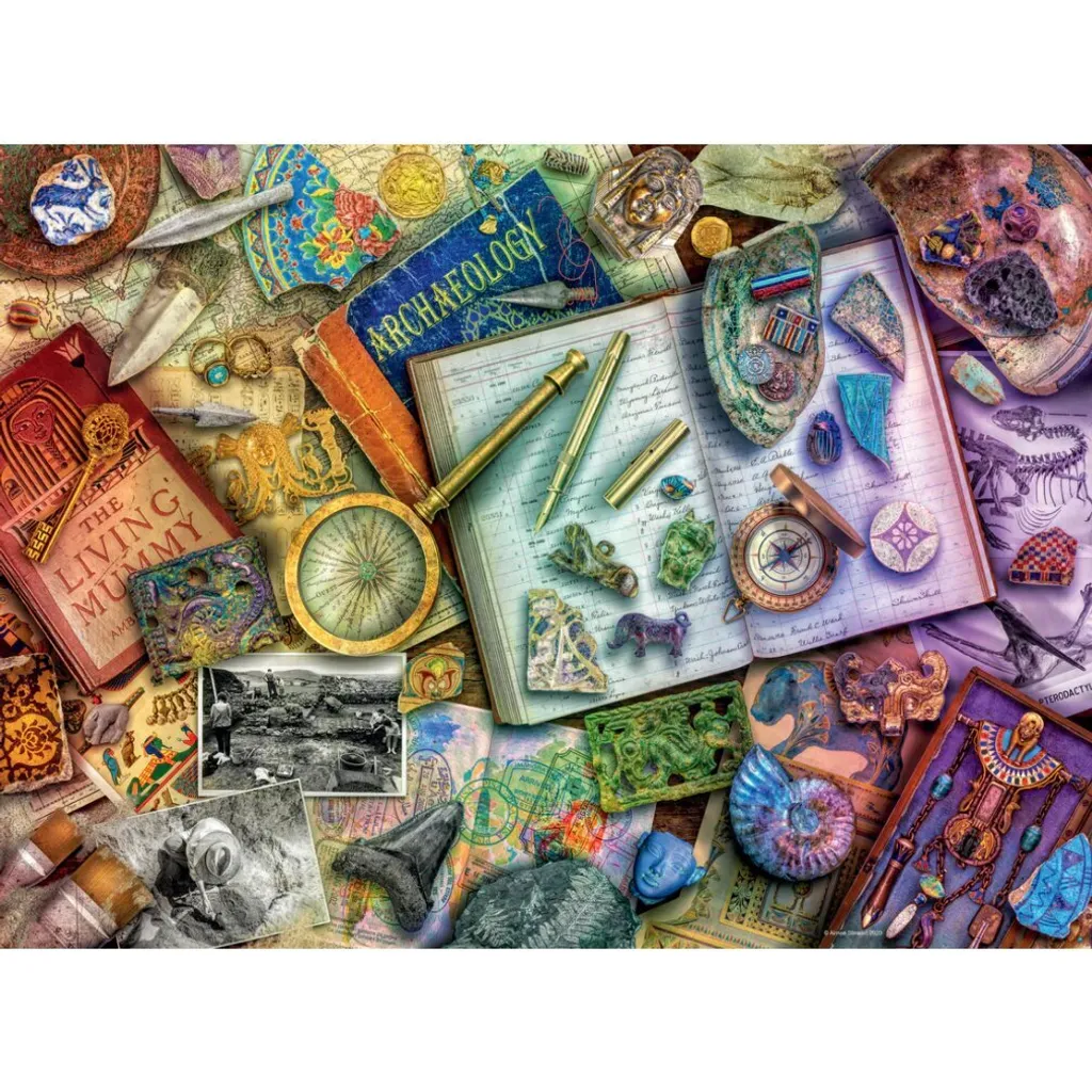 Puzzle Ravensburger 17520 Bureau Archéologue 1000 Pièces Softclick - 2