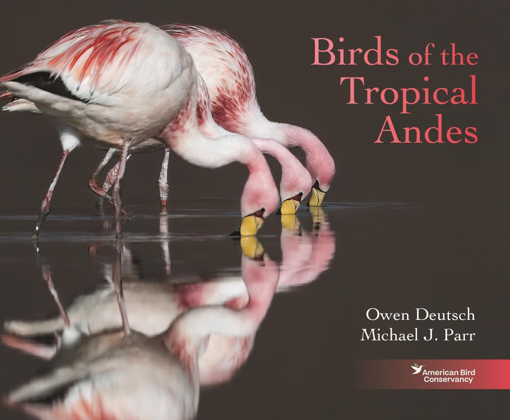 Birds Of The Tropical Andes – Lingua: Inglese